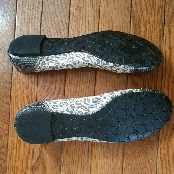 Coach Shine- - Picture 6 of 6